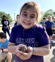Toad Races Held