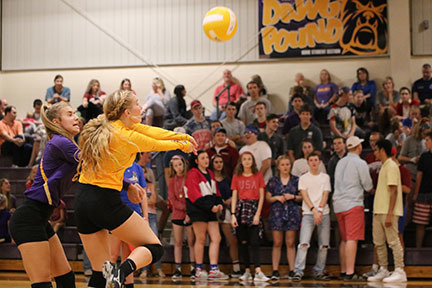 Lady Bulldogs Bring Eagles Down