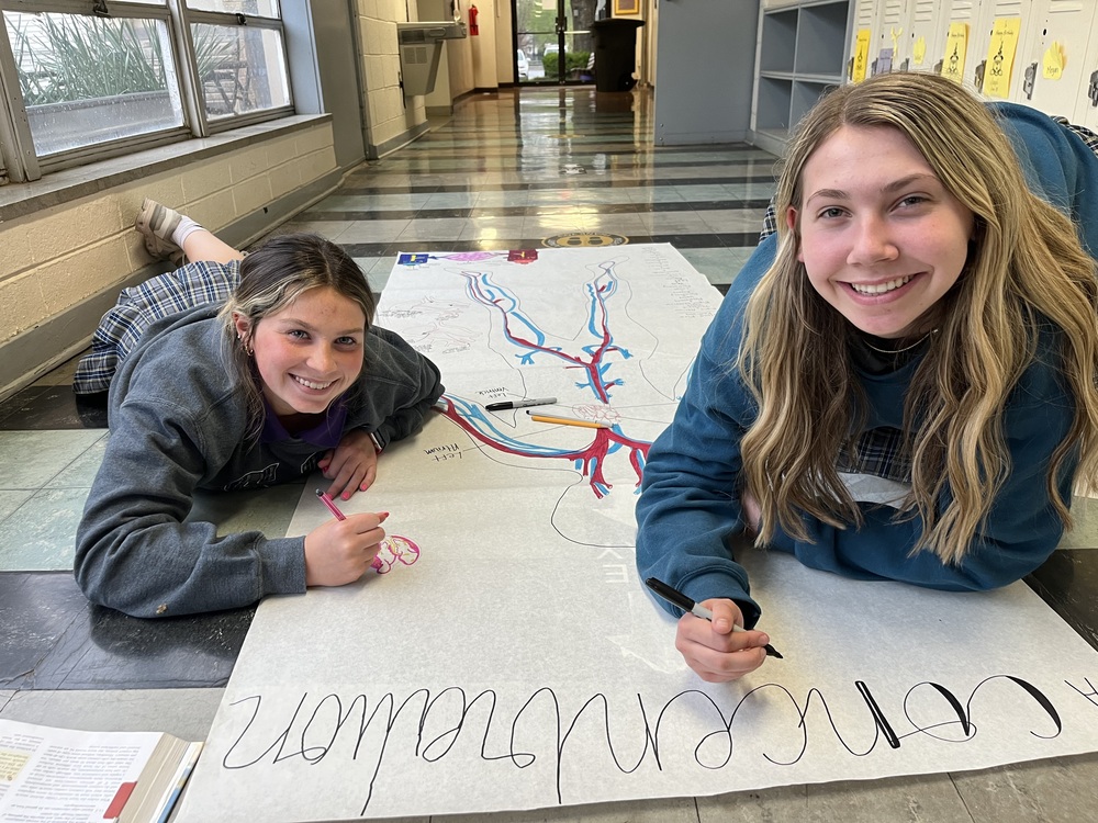 Ms Collins Anatomy Class studied the human circulatory system 