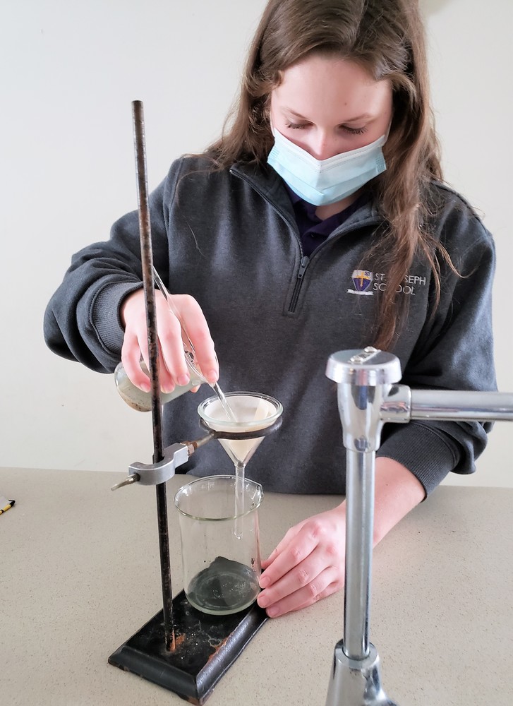 Science Students Conduct Experiments