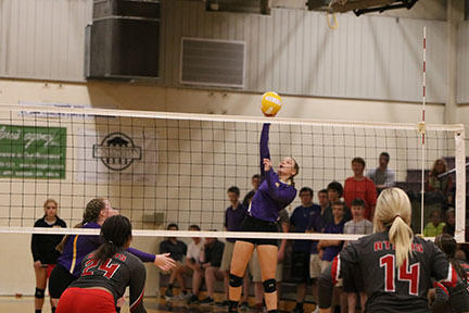 Bulldogs Scare the Devil Out of Atkins