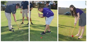 A Day of Croquet