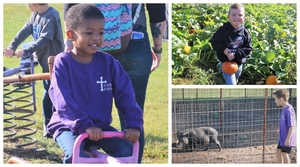 Picking Pumpkins at the Patch!