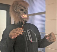 Wolfe on the Loose