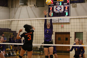 Bulldogs Dominate Warriors